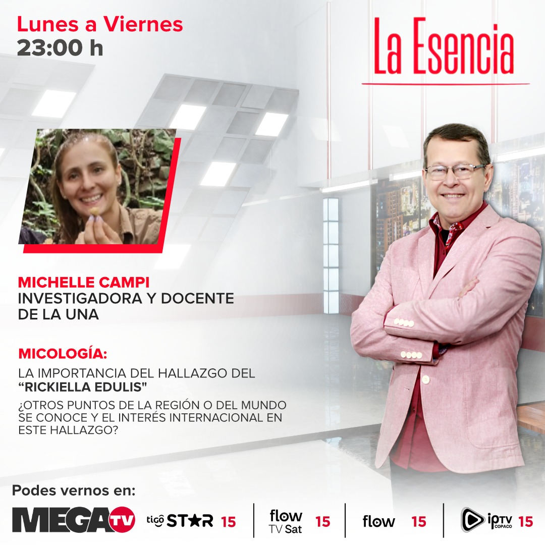 Hoy en #LaEsencia con Juan Fariña 🎙️ 🍄 Micología: la importancia del hallazgo del 'Rickiella Edulis'. 🗣️ Conversamos con Michelle Campi, investigadora y docente de la UNA. No te lo pierdas 😉 ¡Te esperamos a las 23:00 hs! Miranos en megacadena.com.py/tv/ 📺