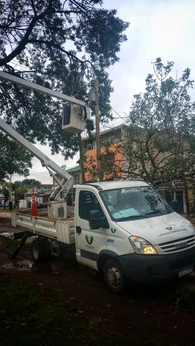Celia_Zarate's tweet photo. 🚧Hoy el Intendente Municipal @Andreswatsonok a través de la Secretaria de Obras y Servicios Públicos (alumbrado), envió el equipo para realizar trabajos de reparación y de mantenimiento de luminarias en la Plaza Central de La Carolina #IngenieroAllan

Sec.  @hugoapereyra1 https://t.co/BkdpR82tVa