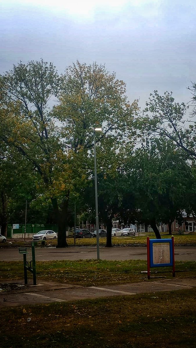 Celia_Zarate's tweet photo. 🚧Hoy el Intendente Municipal @Andreswatsonok a través de la Secretaria de Obras y Servicios Públicos (alumbrado), envió el equipo para realizar trabajos de reparación y de mantenimiento de luminarias en la Plaza Central de La Carolina #IngenieroAllan

Sec.  @hugoapereyra1 https://t.co/BkdpR82tVa