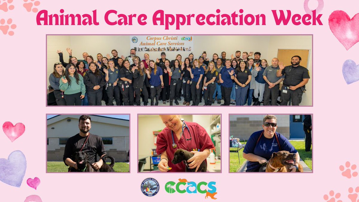 It's Animal Care Appreciation Week! We would like to thank our officers, staff, and volunteers at Corpus Christi Animal Care Services for everything they do in our community. 🐾 #CorpusChristi #CCACS #CCpets #AdoptDontShop