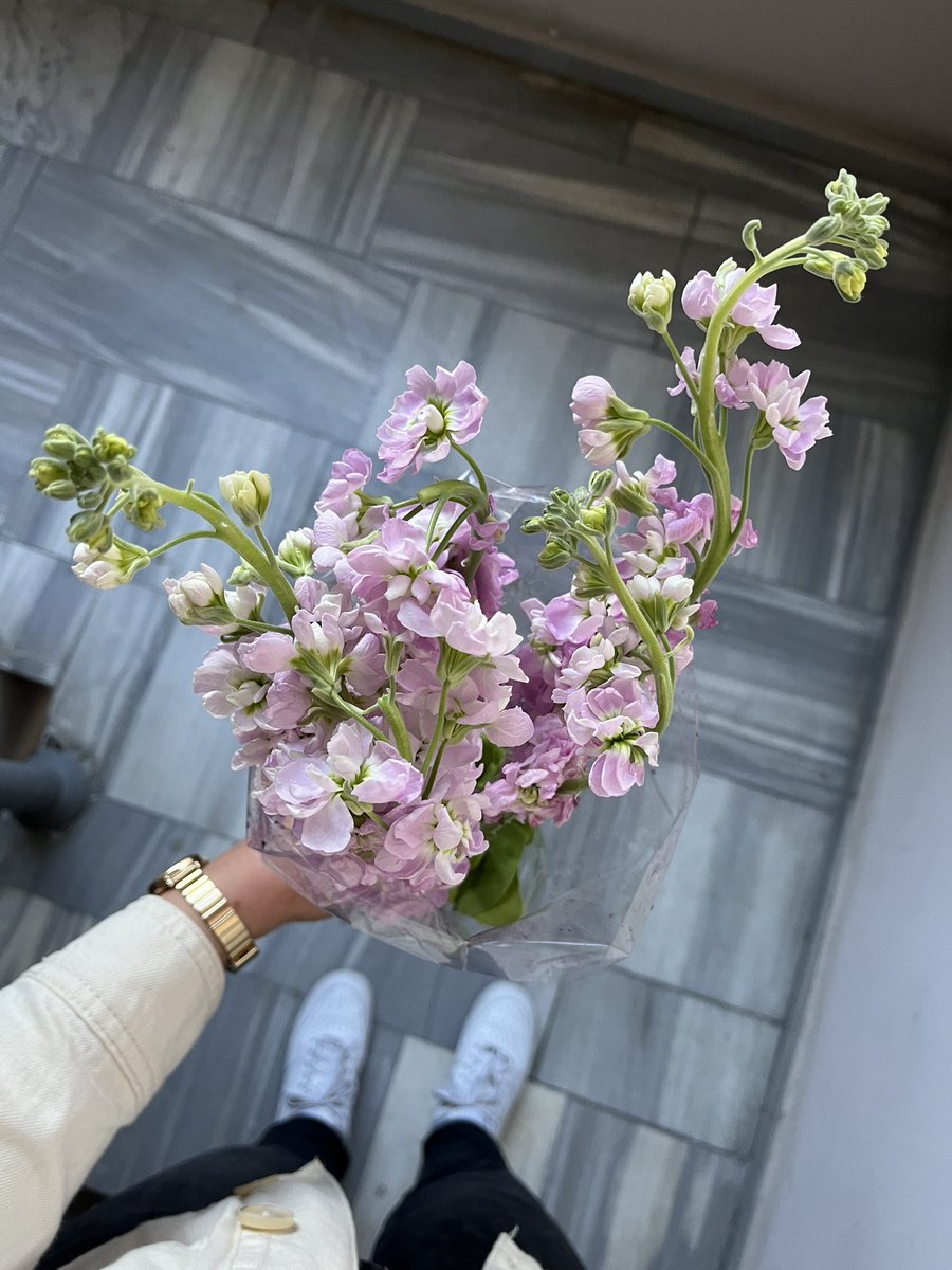 Nyckbra's tweet photo. 🌸💖 https://t.co/Aj3UqIR05V
