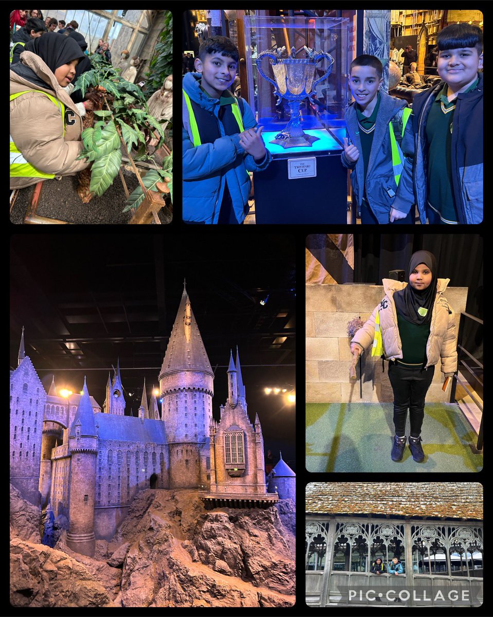 Mansfield Green E-ACT Primary tweet media