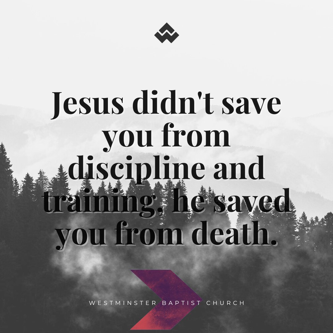 We train through the power of God for holiness & rest. The devil is scheming to destroy you. Jesus calls us to train. Jesus didn't save you from discipline and training, he saved you from death.  𝙹𝙴𝚂𝚄𝚂 𝚂𝙴𝚁𝙸𝙴𝚂 ◀ＨΞＢＲΞＷＳ▶ #discoverwbc #makingdisciples #jesusseries