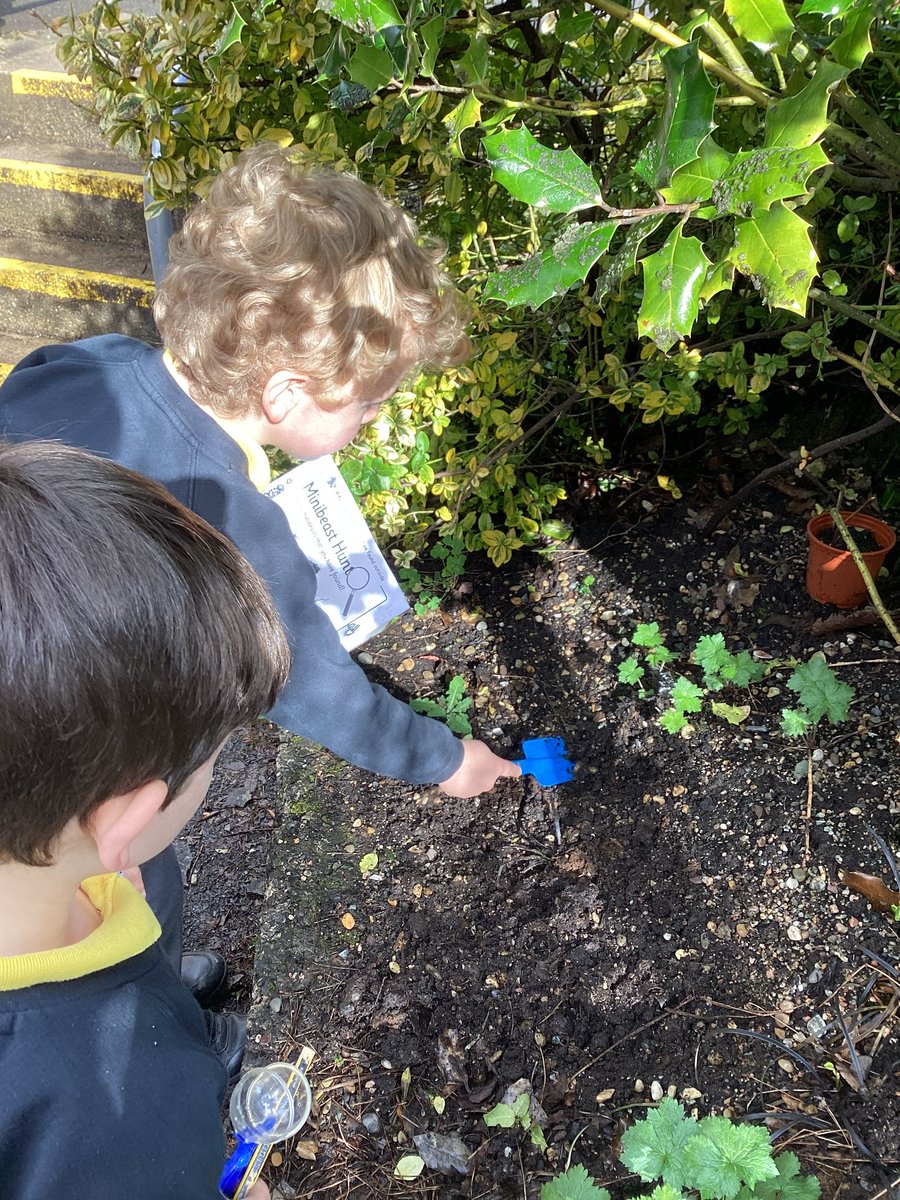 Our minibeast hunt brought such excitement! How fantastic to see inquisitive young minds exploring our wonderful world!🐝Aspire Aim Achieve🐝 @Eco_SchoolsNI