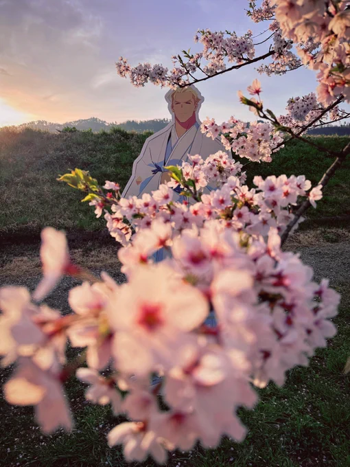 早朝のお花見してきたよ #田舎の旦那 