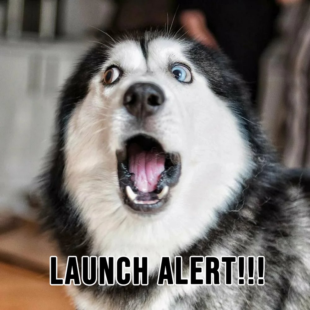 ThoonMoon's tweet photo. 🚀 We've Lifted Off! Thoon Moon is officially on his journey to the moon! 🌕🐾 #ThoonMoonLaunch #ToTheMoonAndBack https://t.co/pWt9mhBJK4