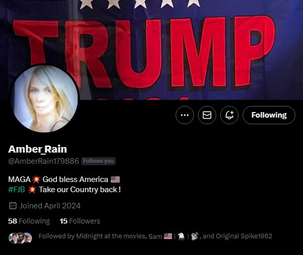 Hey all you Patriots, This is Amber_Rain @AmberRain179886 Her main account got zapped. How about shower her some Patriot Love and get her back up to speed. Shes a long time Friend of mine Amber is good people.