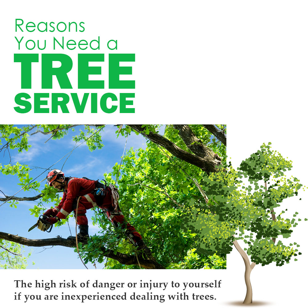 McAbeeTreeCare's tweet photo. Need Tree Services? Let the professionals handle it!  McAbee Tree Care offers major services such as tree removal, tree trimming, vista pruning, forestry mulching, grading and hauling. Visit our website at: https://t.co/IjiXTl1Leh to schedule a free estimate! #mcabeetreecare https://t.co/ICxcekBLpL