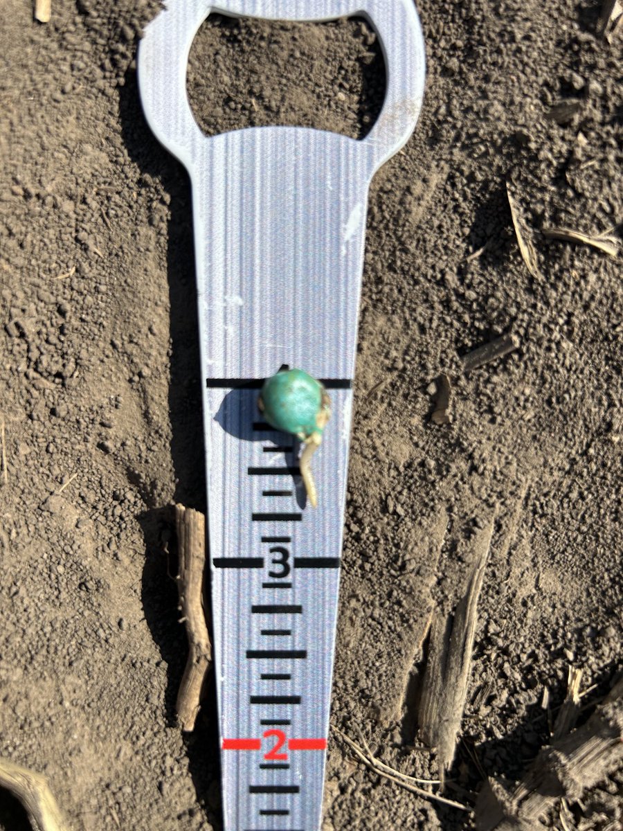 chadlanik (@chadlanik) on Twitter photo DKC105-33 SmartStax Pro is ready to go! โฆ<a href="/frontier_coop/">Frontier Cooperative</a>โฉ โฆ<a href="/DKAS_Nebraska/">DEKALB Asgrow Nebraska</a>โฉ DKC105-33 SmartStax Pro is ready to go! โฆ<a href="/frontier_coop/">Frontier Cooperative</a>โฉ โฆ<a href="/DKAS_Nebraska/">DEKALB Asgrow Nebraska</a>โฉ
