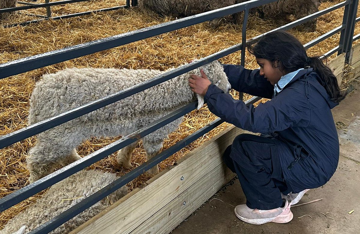 🌳 Year 5 Residential - North Devon

Some highlights from Day 1 at @Kingswood_

🧗‍♀️ @bigsheepdayout 🐑 

#HPDevon24 #SCPDevon24
#CFDevon24 #BFDevon24
#CPFDevon24 #CCJDevon24
#WADevon24 @LEOacademies