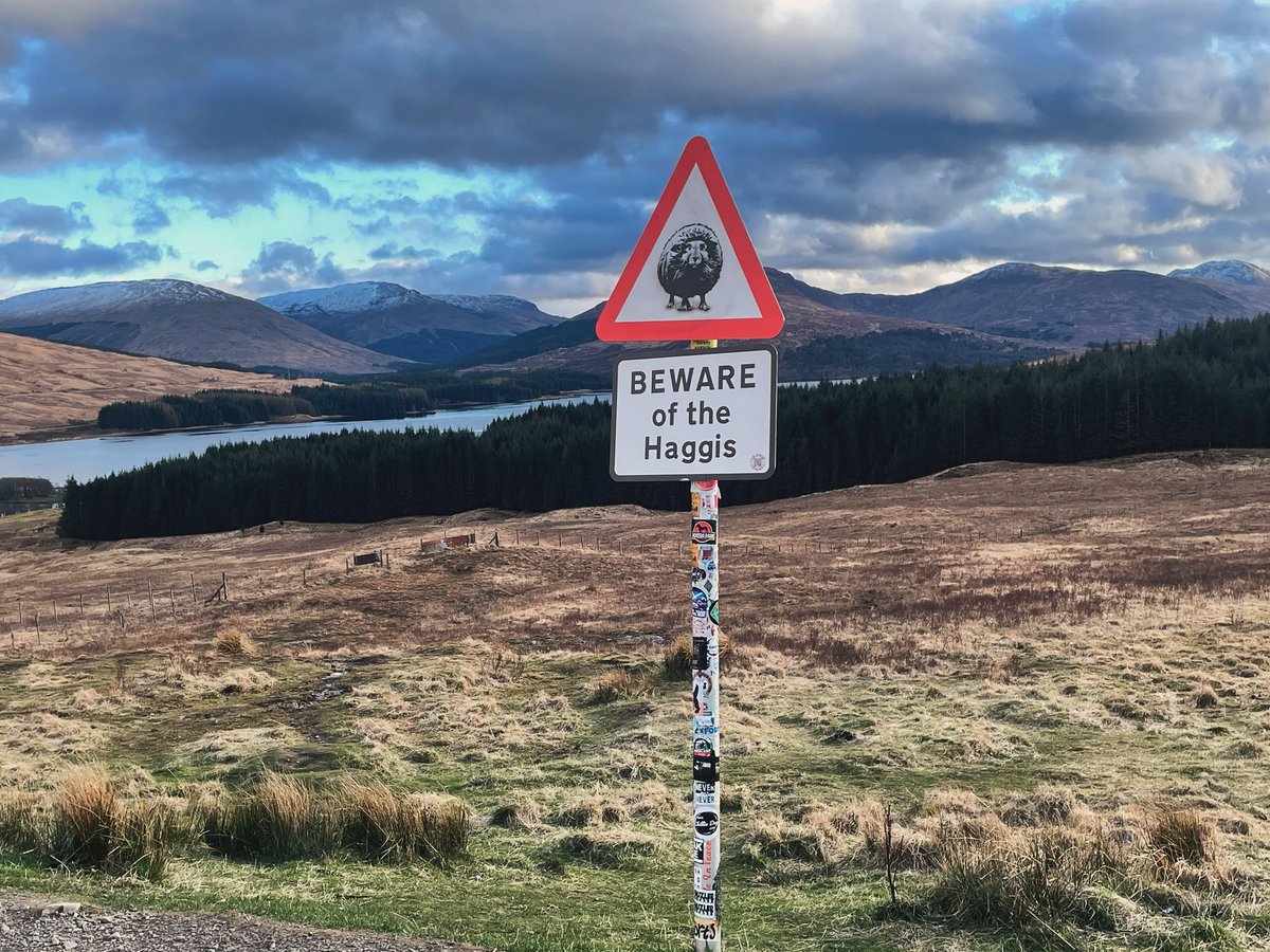 ….passed this road sign on the drive back from Fort William…. 😂 #highlands #haggis #Scotland