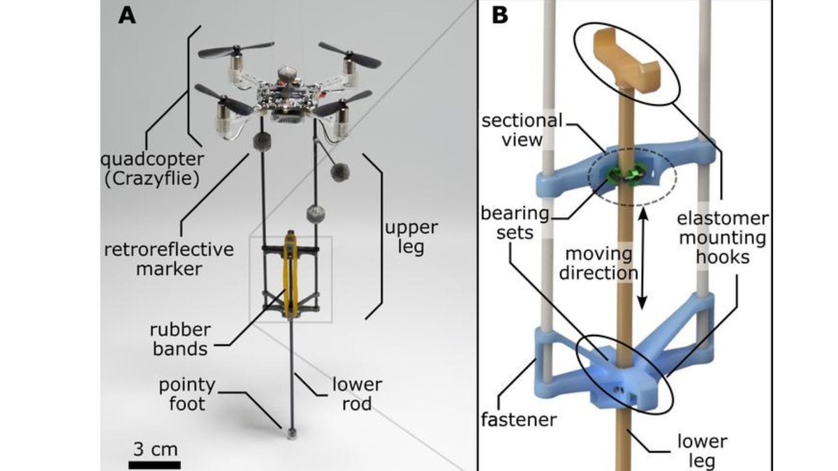 35-gram Hopcopter revolutionizes robotics with its hops and flight interestingengineering.com/innovation/35-…