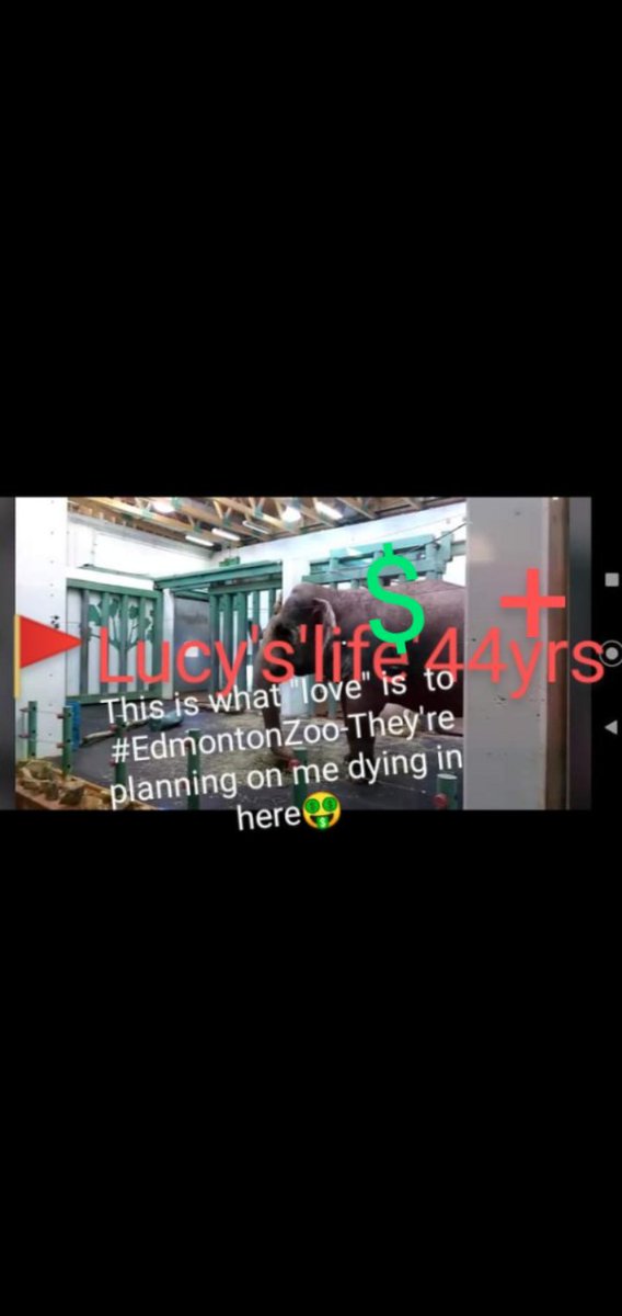 JulieKi53713414's tweet photo. @AmarjeetSohiYEG @AmarjeetSohiYEG how much #MONEY is poor preciou$ Lucy worth 'living'... Drawing in more customer$ 4-10+year$ to Edmonton Valley ZooAND, how much MONEY is Lucy WORTH #DEAD in #AnimalMortalityInsurance ๐โ ๏ธ๐ค๐งฎ๐ต โ๏ธ
@CityofEdmonton DO haveTIGHT MONTHLYfigure$ on her worth๐คฎ๐ญ๐๐ https://t.co/yanSq79cXX