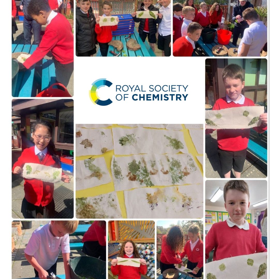 Almost one whole year since our Tri-chemistry project 🥹 Delivered to 9 primary schools within deprived/rural areas throughout #NorthWales, Wild Elements set out to increase pupil aspirations and confidence in #chemistry What a blast!