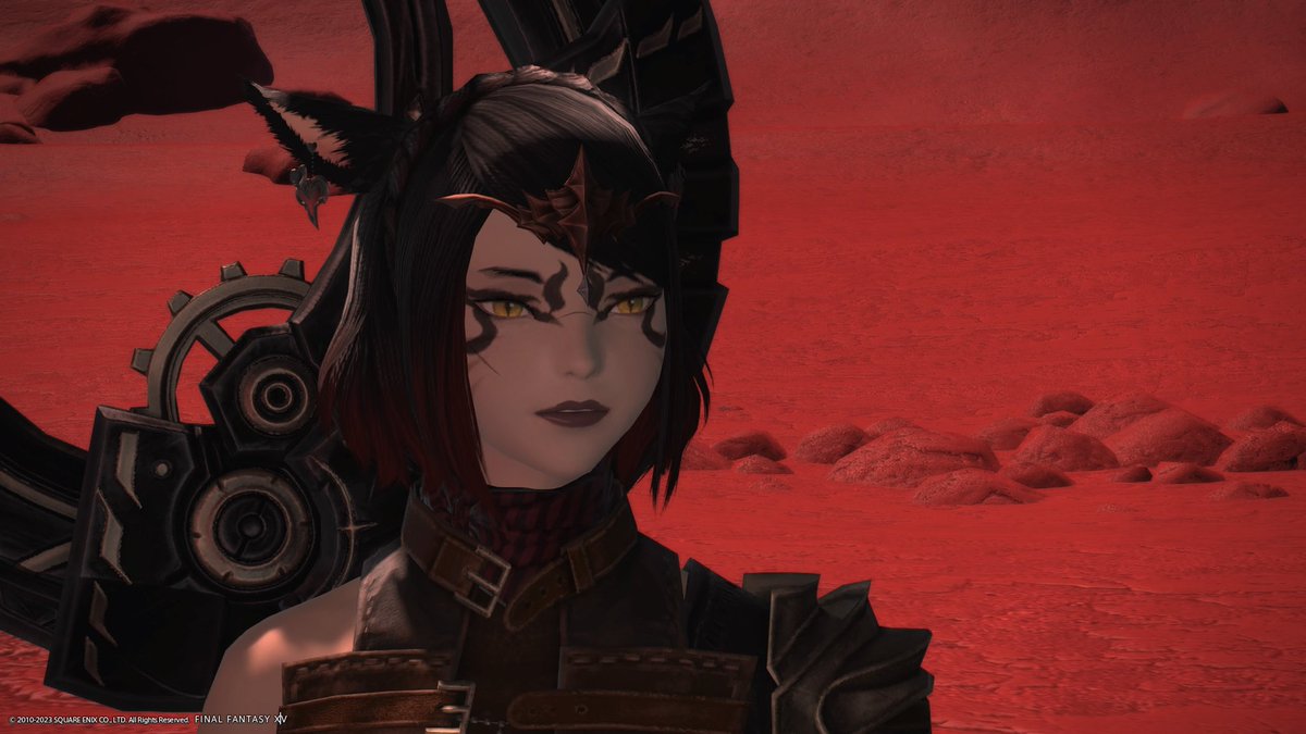 Anarchy_Fox's tweet photo. Would you go on an adventure with her? https://t.co/sOmlaoZGNZ