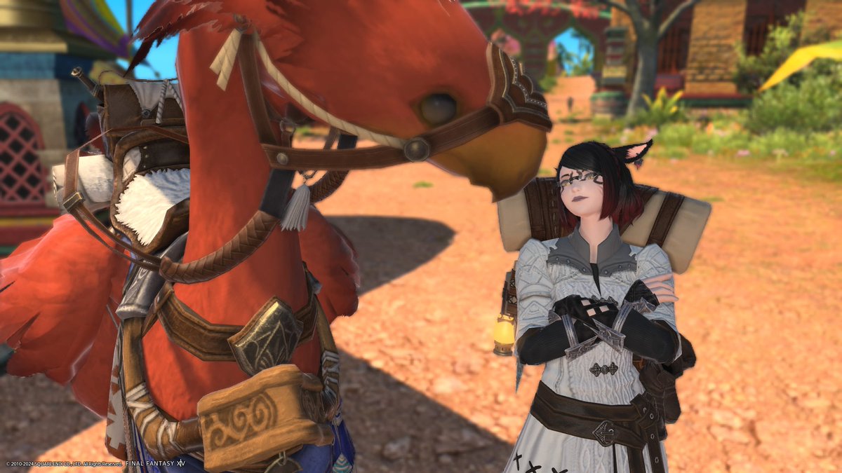 Anarchy_Fox's tweet photo. Would you go on an adventure with her? https://t.co/sOmlaoZGNZ