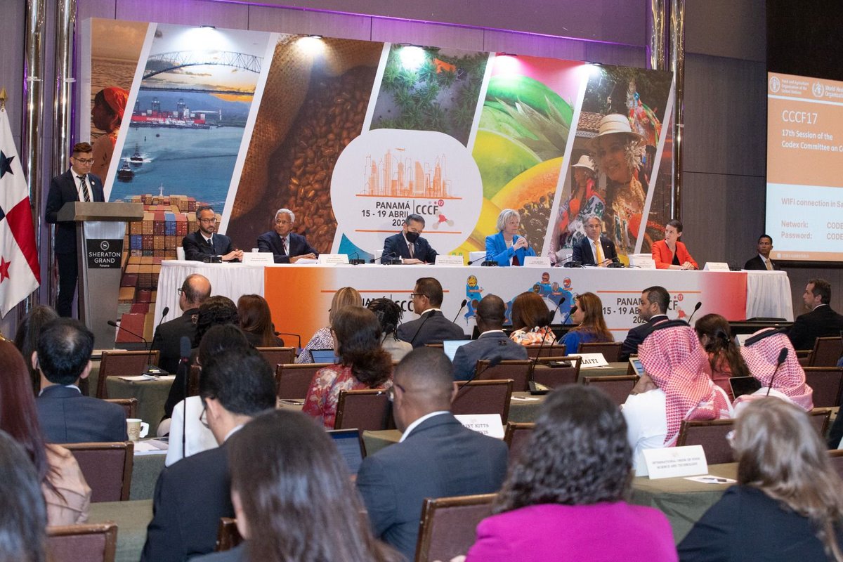 FAOWHOCodex's tweet photo. 🤔 | #DYK | This is the second Codex meeting to be co-hosted since the return to physical meetings, this time meeting in Panama City, Panama.

#FoodSafety | #CCCF17 https://t.co/a61v0lntxw