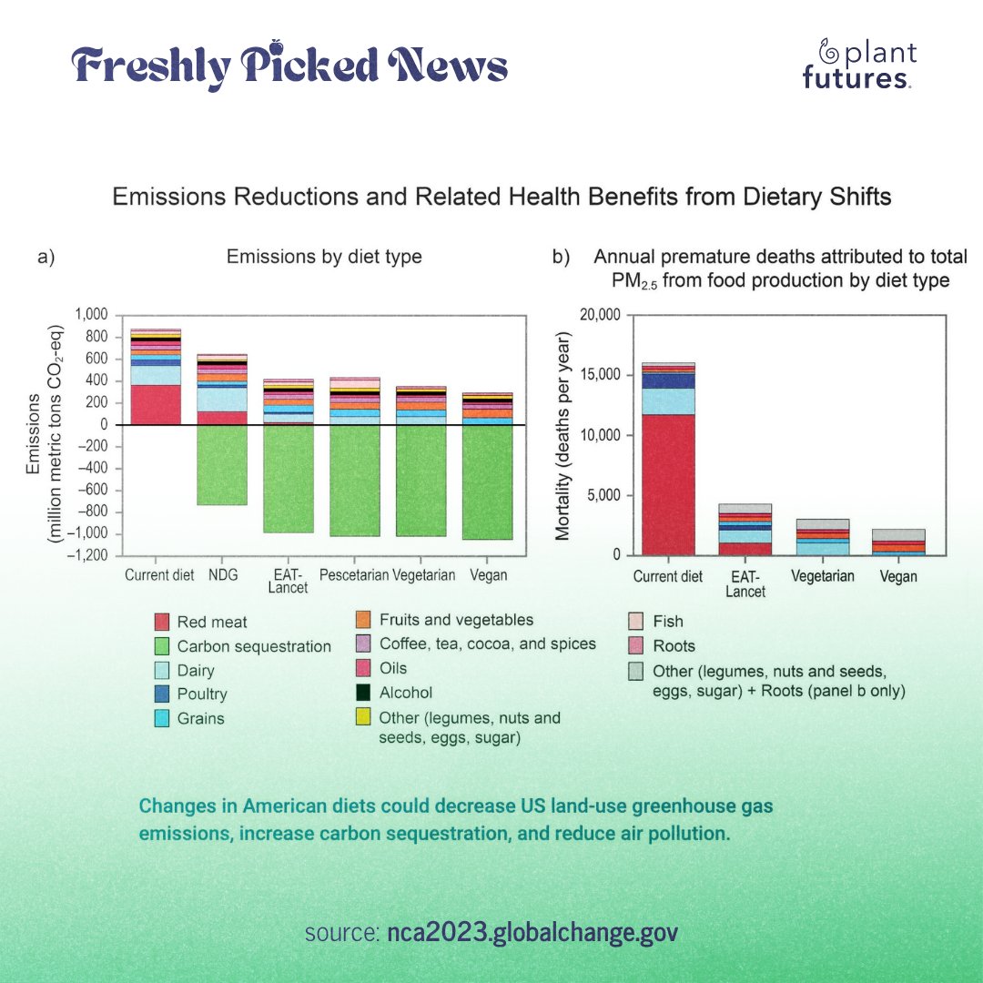 plant_futures's tweet photo. 📊 The #NCA5 report emphasizes the importance of considering dietary changes, such as transitioning to plant-based diets, as part of a comprehensive approach to mitigating climate change and promoting sustainability.

🔗 https://t.co/9yhj1jrES0 https://t.co/gYGZWczSfB