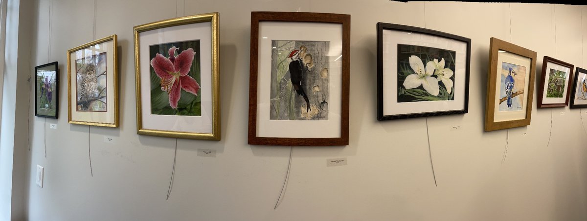 Pictures from my little 83-year-old mother’s art show….I’m so proud of her, getting back out there and selling her art that my father was always so dismissive of.