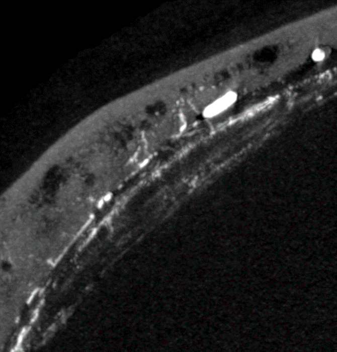 Eytan Raz tweet media