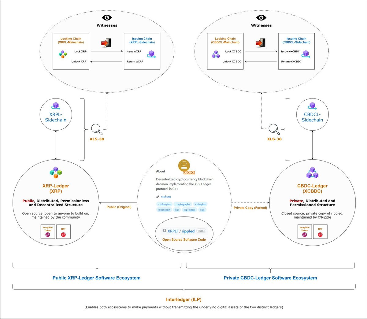 How the Interledger Protocol connects to the XRP Ledger to facilitate CBDC  transactions + side chains 🔑
