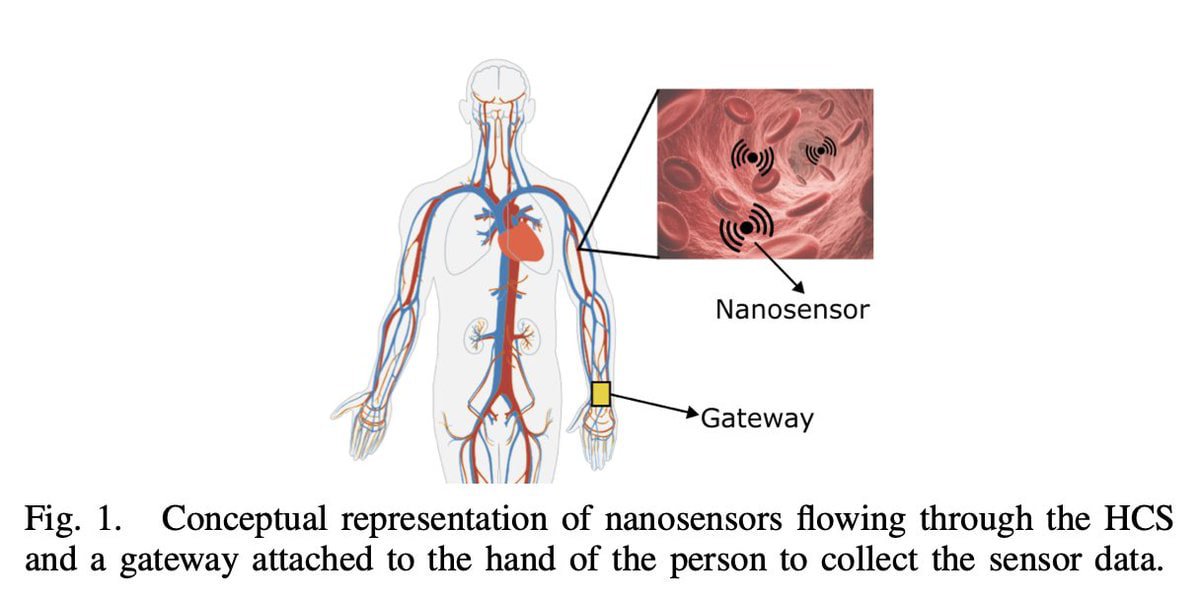 CorinneNokel's tweet photo. Nanosensors flowing through the Human Circulatory System
#IntraBodyTHzCommunication
#InBodyNanoSensors
#IntraBodyNanosensorNetworks
https://t.co/TTjEYdJvJv https://t.co/cMp5MvXIc3
