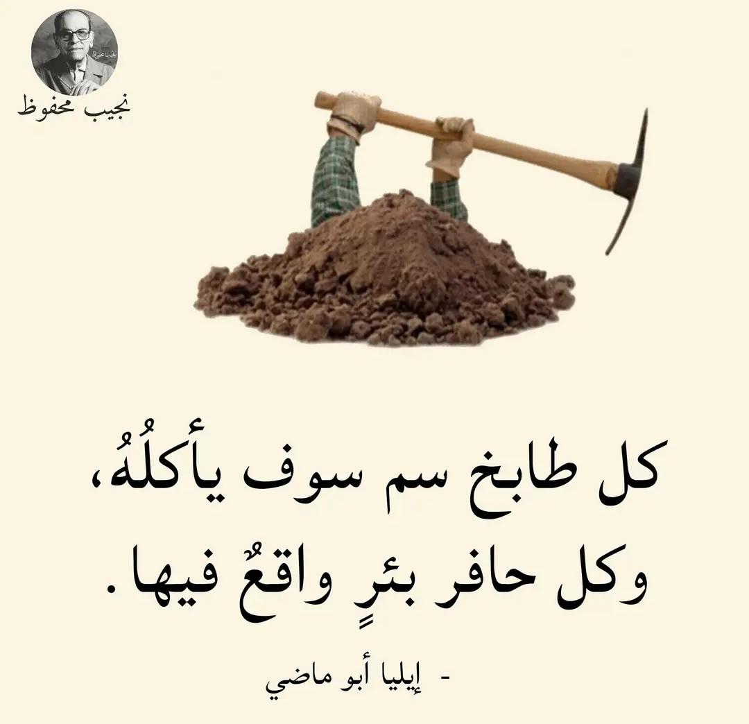 sameha (@sameha253306) on Twitter photo 