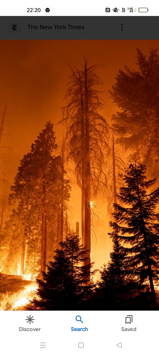 rhosking252's tweet photo. "Climate deniers are a disgrace to our planet"..........
They are a disgrace to:
1) Their children.
2) Their families.
3) Their friends.
The foul mouthed tyrades of those dead from the neck upwards need no introduction.
Remember, climate denial costs lives, and kills people. https://t.co/4hZLSdlq9C