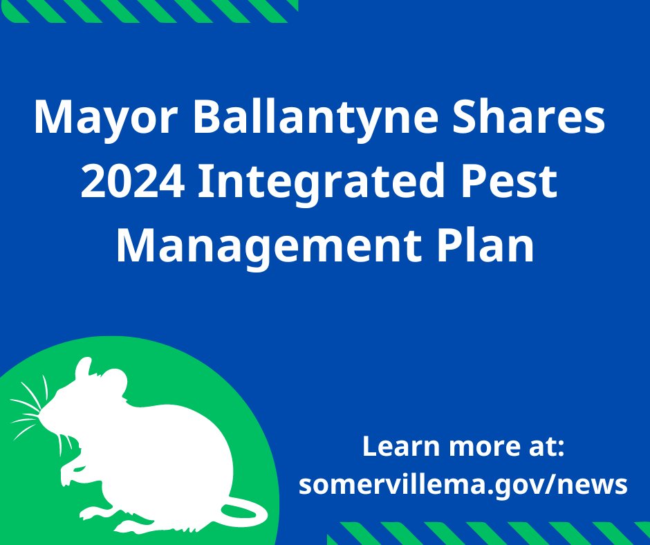 Mayor @katjballantyne & Somerville’s Inspectional Services Department have announced the 2024 Integrated Pest Management (IPM) plan to effectively address rodent issues across the city. Get more info & hear from ISD at this Thursday's (4/18) BOH meeting: somervillema.gov/news/mayor-kat…