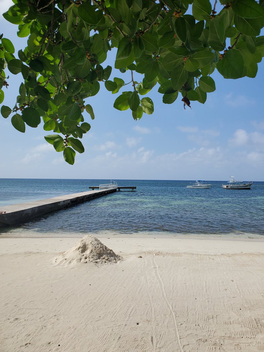 Friday 19 April Today’s Daily Picture Theme is ‘Dock' RT or reply with your own photo Tomorrow’s theme will be ‘Elevated' #DailyPictureTheme Empty dock, ready for the next boat or ship to arrive!