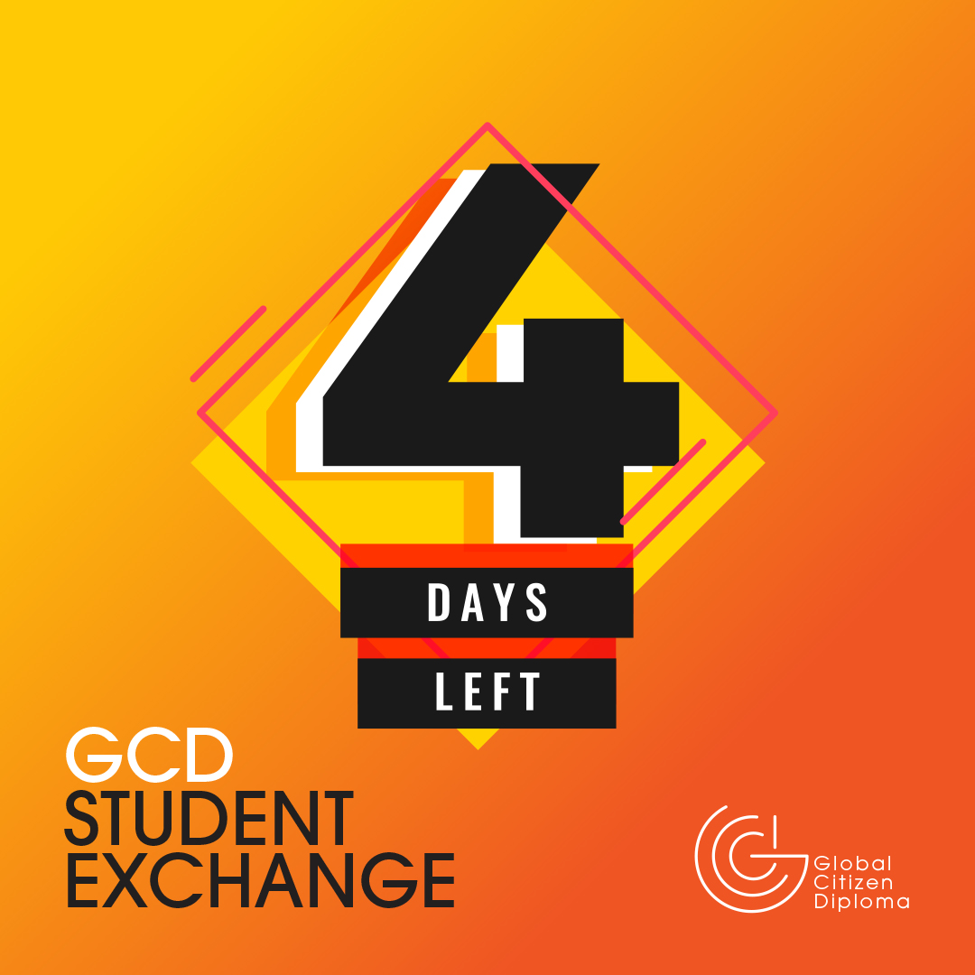 Global Citizen Diploma tweet media