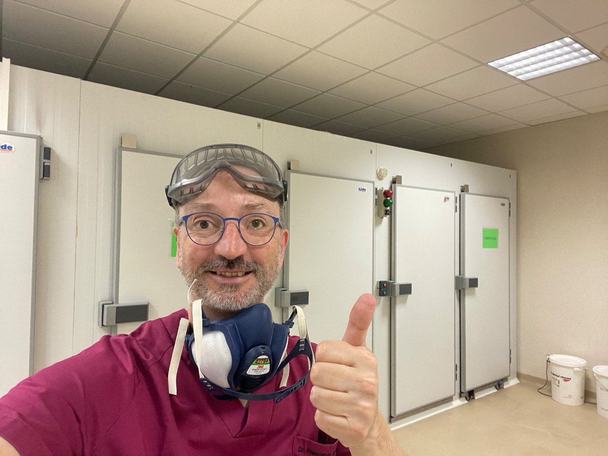 Pasión por la Anatomía tweet media