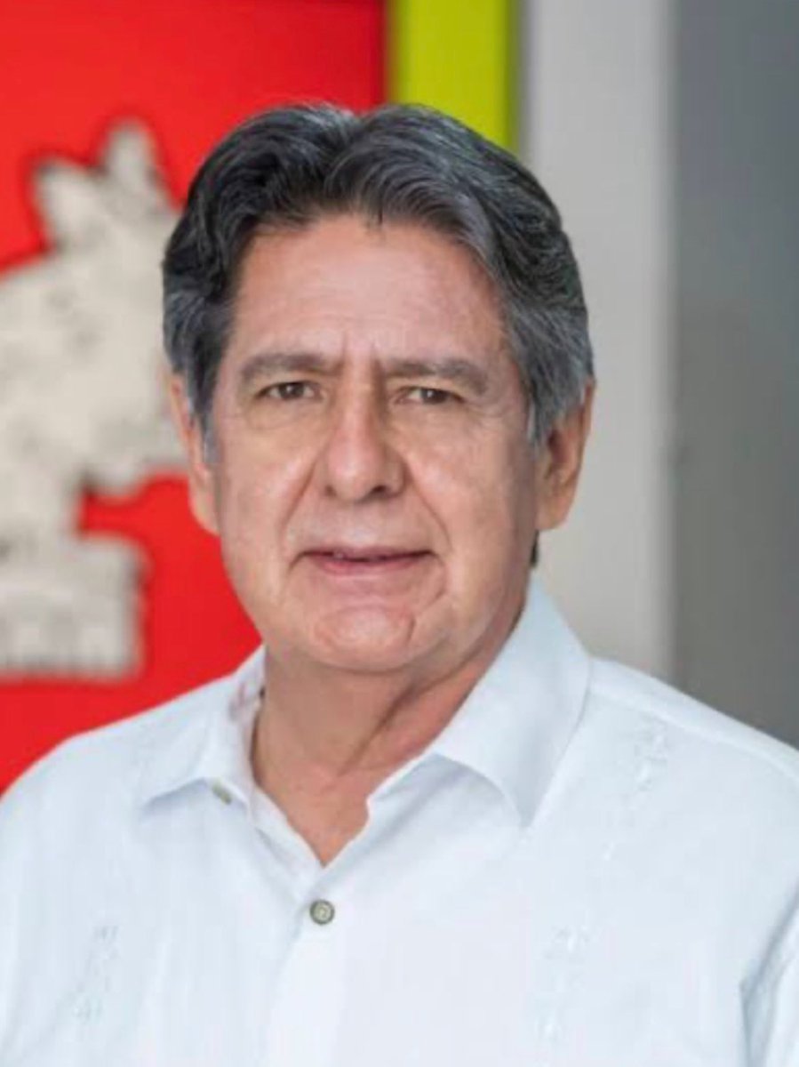 Pablo Salazar M. tweet media