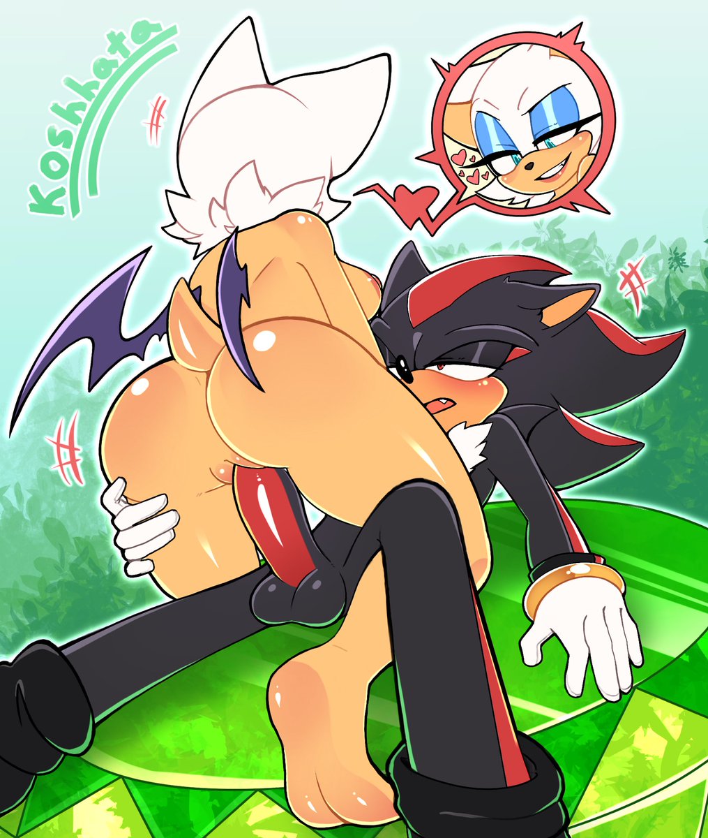 koshhataa18's tweet photo. ~🎵 
#RougeTheBat #ShadowTheHedgehog #sonicfanart https://t.co/GX33kmqf8i