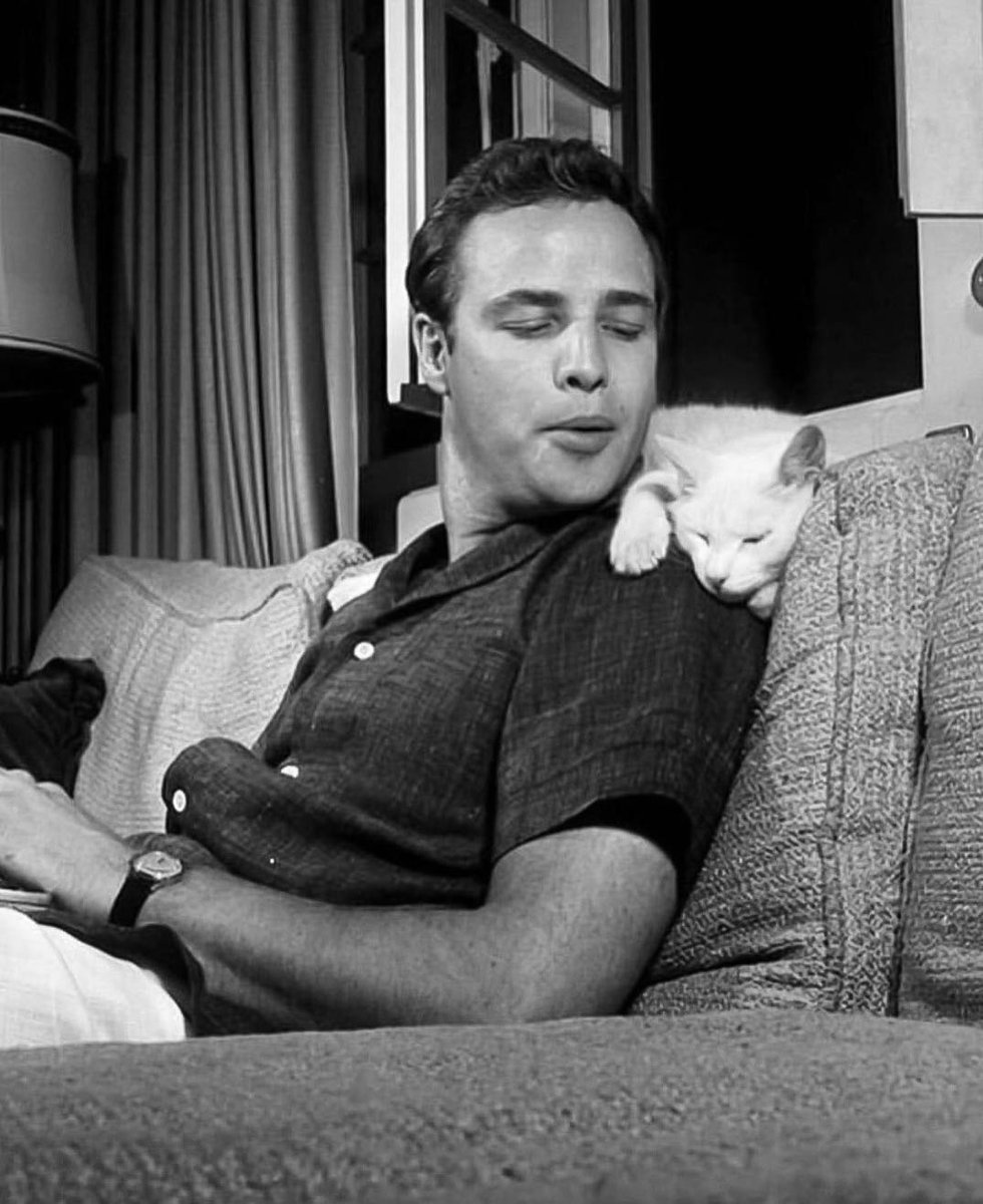 Marlon Brando, circa 1954, with his white cat. Brando was a noted cat lover. He also had great taste in watches.
#marlonbrando #oldhollywood #vintagehollywood #mensfashion #1950sfashion #vintagewatch #vintagewatches #timepiece #classicwatches #WristArt #vintagefashion #horology