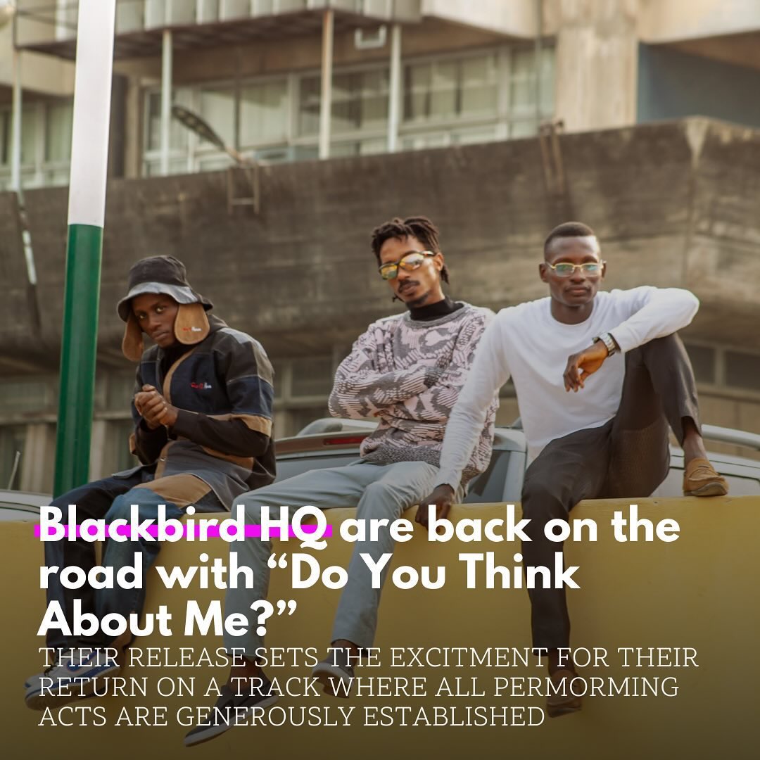 Blackbird Entertainment tweet media