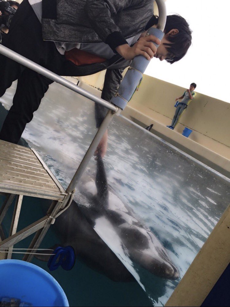 4月16日 えのすいの日🐬 水族館で迷子になった少年は 大人になって 何時間も水族館にいるという 何も考えずに ゆったりした時間を 過ごすのが 好きだと言って... (また行きたいな、えのすい♪) #古川雄輝