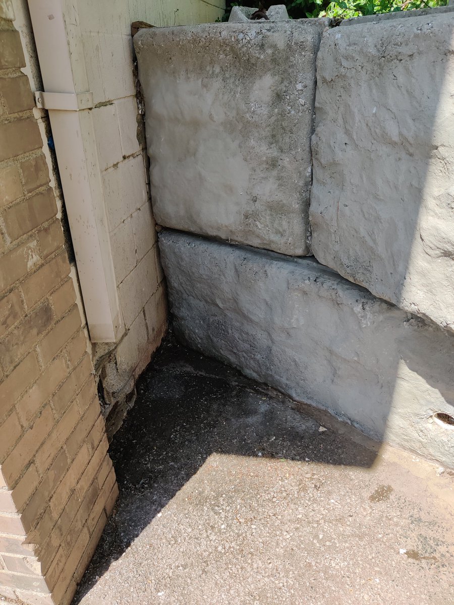 spockinator's tweet photo. https://t.co/LZSo7JfDAk
Some of today's work! Since my truck died, I am hauling trash in my Corolla. Any help is so needed to get me a good used vehicle. I can haul more trash for sure in a π!
#spockrocks #bethesnowball #retiredtrashlady #makeadifference #spockwashere https://t.co/HXimsY1TCI