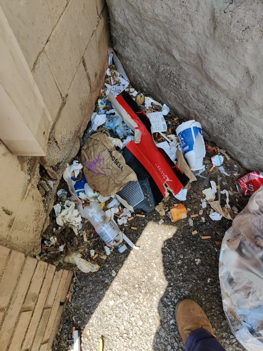 spockinator's tweet photo. https://t.co/LZSo7JfDAk
Some of today's work! Since my truck died, I am hauling trash in my Corolla. Any help is so needed to get me a good used vehicle. I can haul more trash for sure in a π!
#spockrocks #bethesnowball #retiredtrashlady #makeadifference #spockwashere https://t.co/HXimsY1TCI