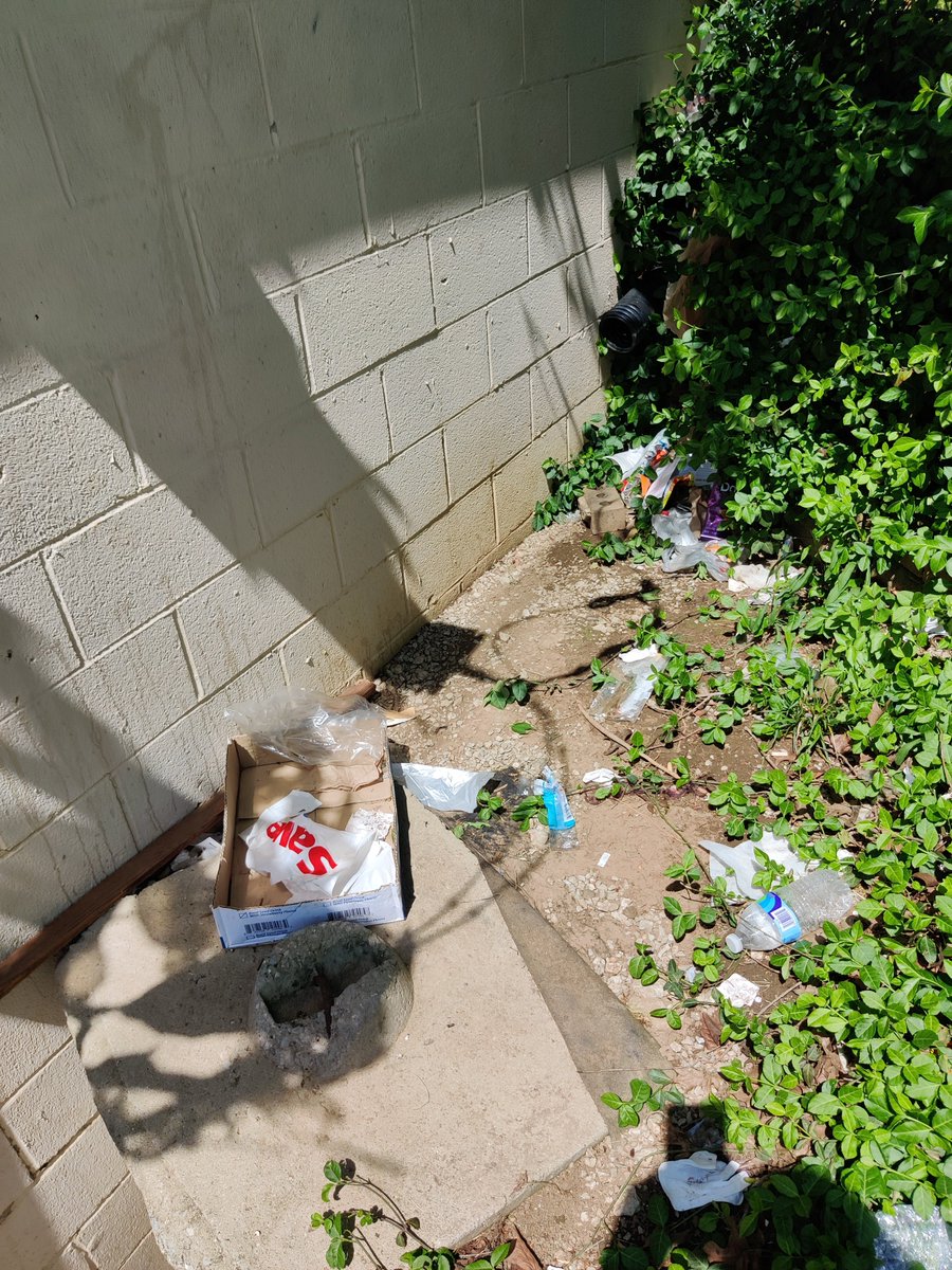 spockinator's tweet photo. https://t.co/LZSo7JfDAk
Some of today's work! Since my truck died, I am hauling trash in my Corolla. Any help is so needed to get me a good used vehicle. I can haul more trash for sure in a π!
#spockrocks #bethesnowball #retiredtrashlady #makeadifference #spockwashere https://t.co/HXimsY1TCI