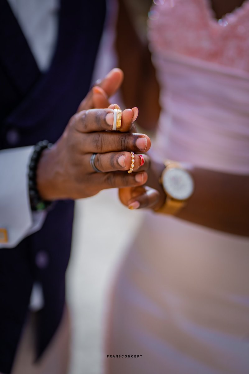 Fran6Concept tweet media