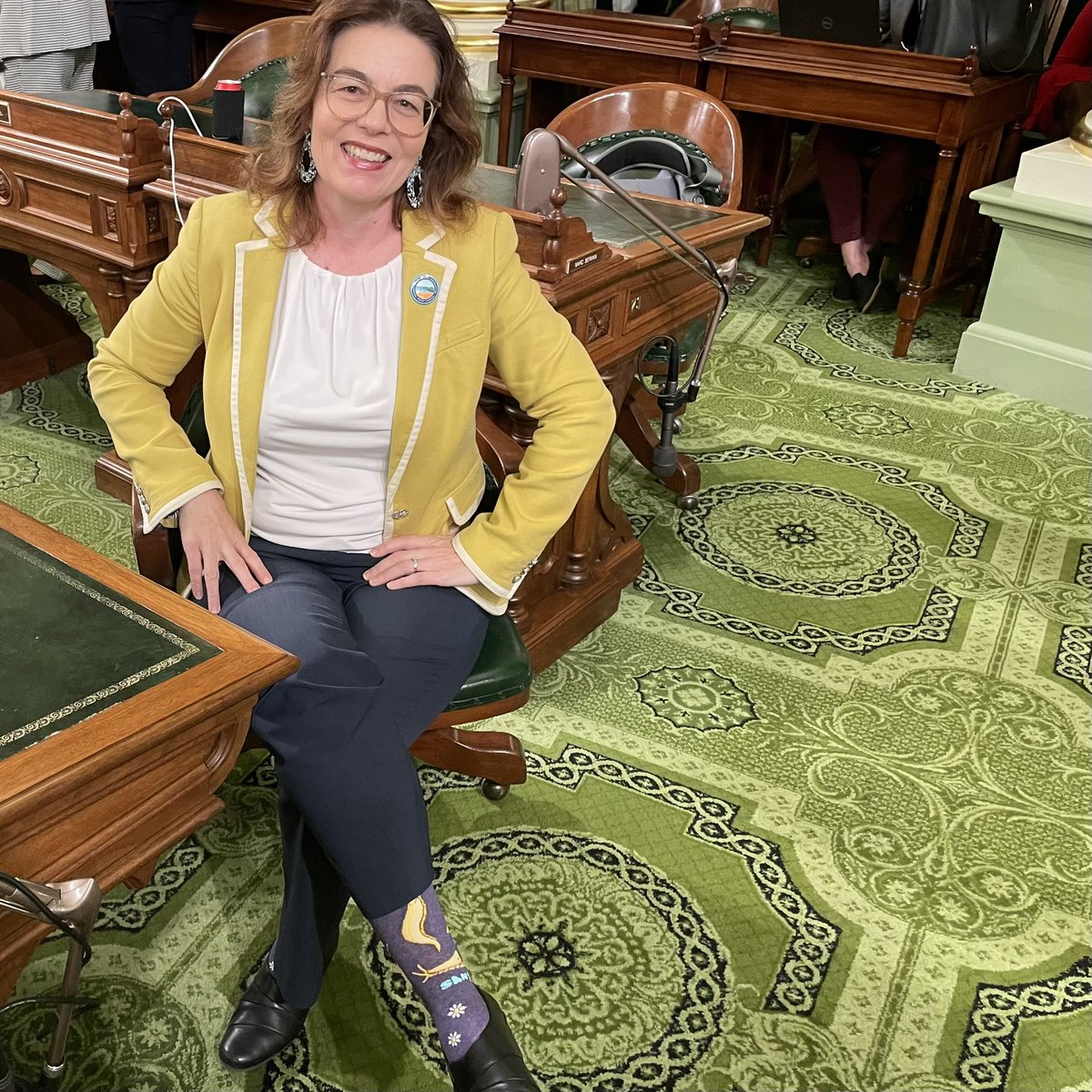 AsmDawnAddis's tweet photo. I’m excited to co-author #AB1850 to make the Banana Slug California’s state slug! Sammy the Slug is here to cheer on the incredible creatures who help stabilize the ecosystems they inhabit, contributing to our state’s rich biodiversity. 🍌🐌 https://t.co/uuyEjepVct