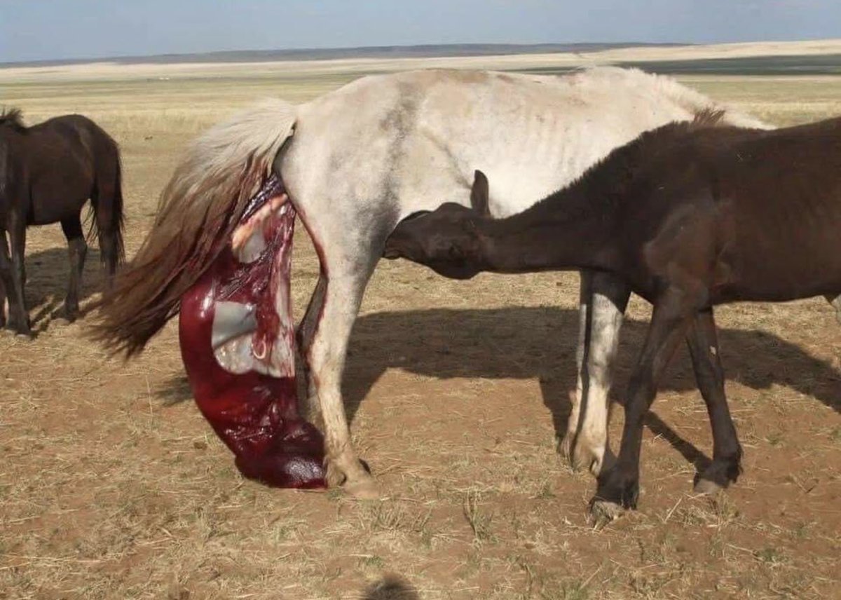 Өглөөний мэнд 2024.04.16
Өрх бүрд эрүүл энх аз жаргалаар дүүрэн байг