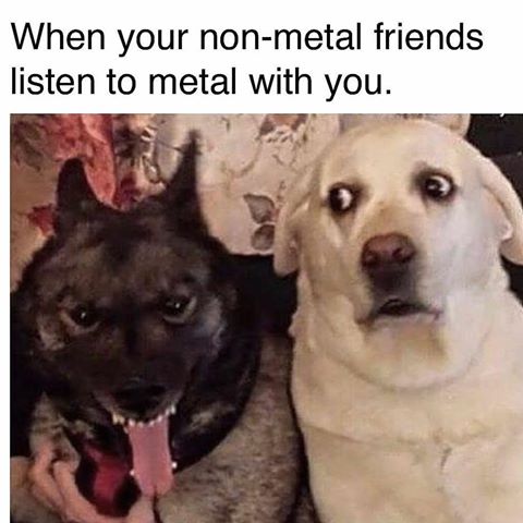 🐾Beware of Dogma🐾 tweet media