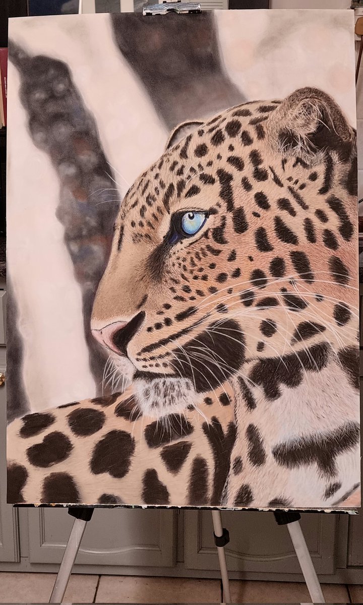 Whoop and yay! He's finally done! This lighting means it's a crappy photo so will get some better ones tomorrow but phew!
He won't be for sale for a while though as he is being entered into a competition 😊
#artonline #leopardart #wildlifeartist #pastelpainting