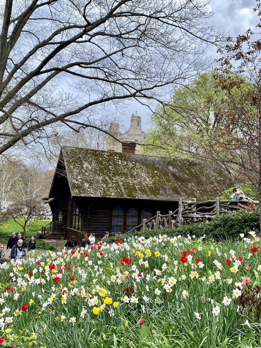 Shakespeare Garden 🌸🌷🌼 #CentralParkBloomWatch