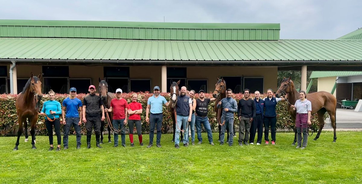 TeamValor's tweet photo. The World's Best middle distance Turf horse, Facteur Cheval, is in this picture along with other Team Valor horses based in France. Can you spot him?

#teamvalor #facteurcheval #calmly #worldsbest #championracehorse https://t.co/m5oUhrjUwi