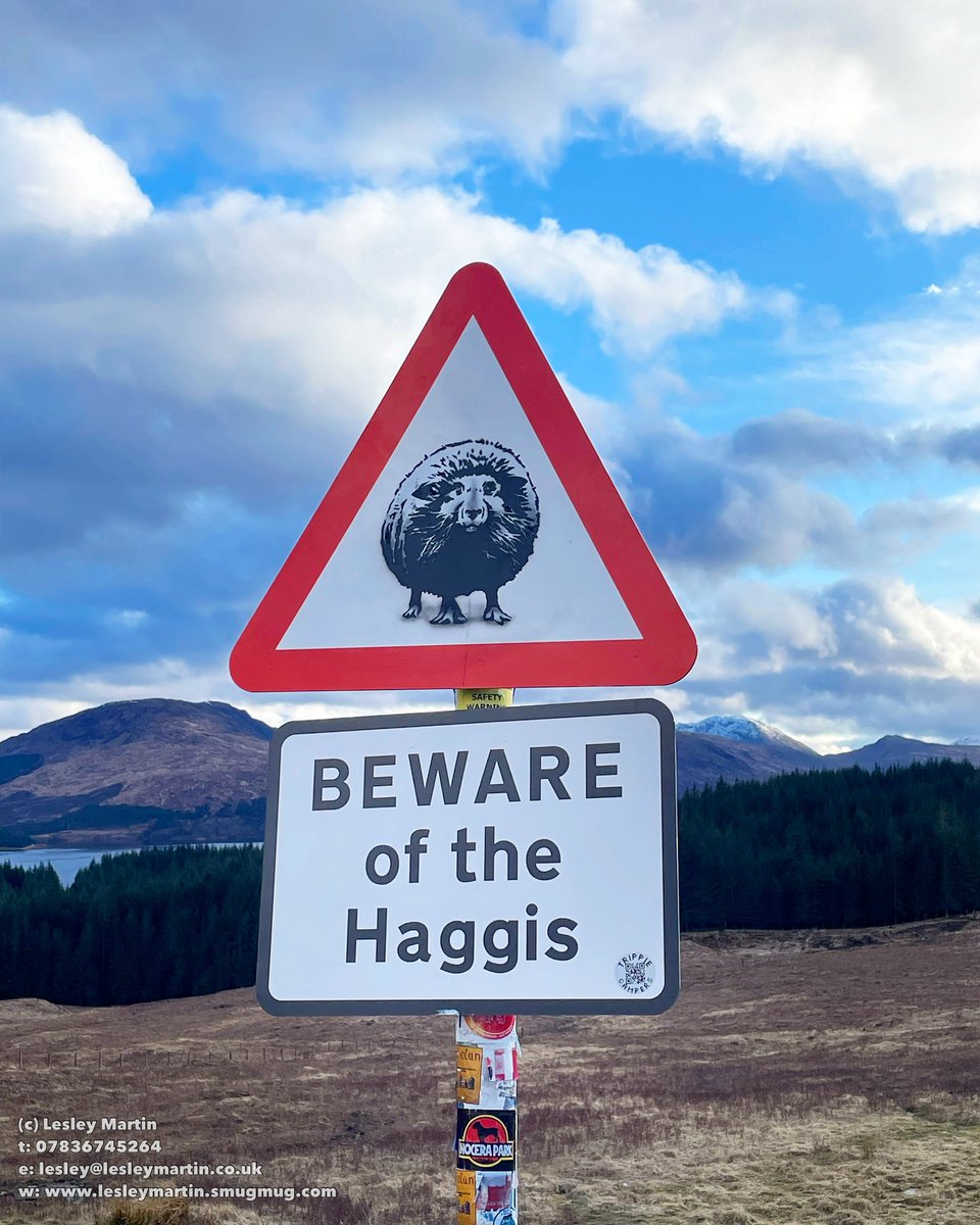 Spotted this in the highland's today 😂🏴󠁧󠁢󠁳󠁣󠁴󠁿#highlands #Scotland #haggis #roadsign