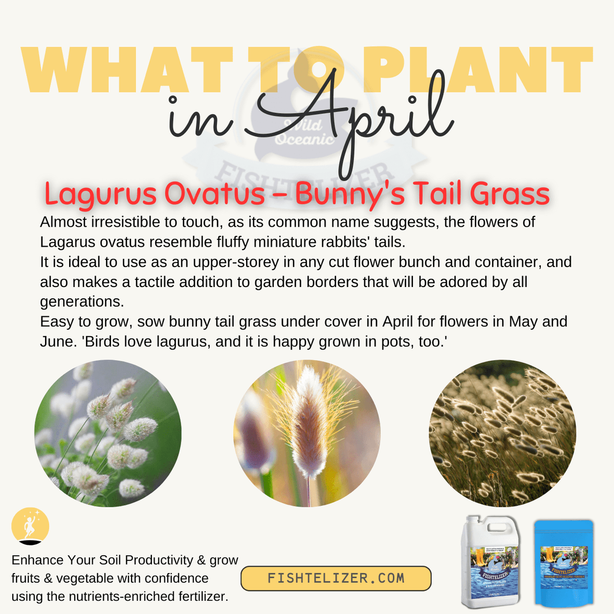Fishtelizer's tweet photo. "What Should You Plant in APRIL” 🌱😍

Follow @fishtelizer to learn more on planting seasons.

@fishtelizer
@fishtelizer
@fishtelizer

#vegetables #plantingathome #plantingtips #hydroponics #plantinginapril #gardeningcalender #april #aprilplanner #aprilplants #plantingcalander https://t.co/PNsuWbMMnU