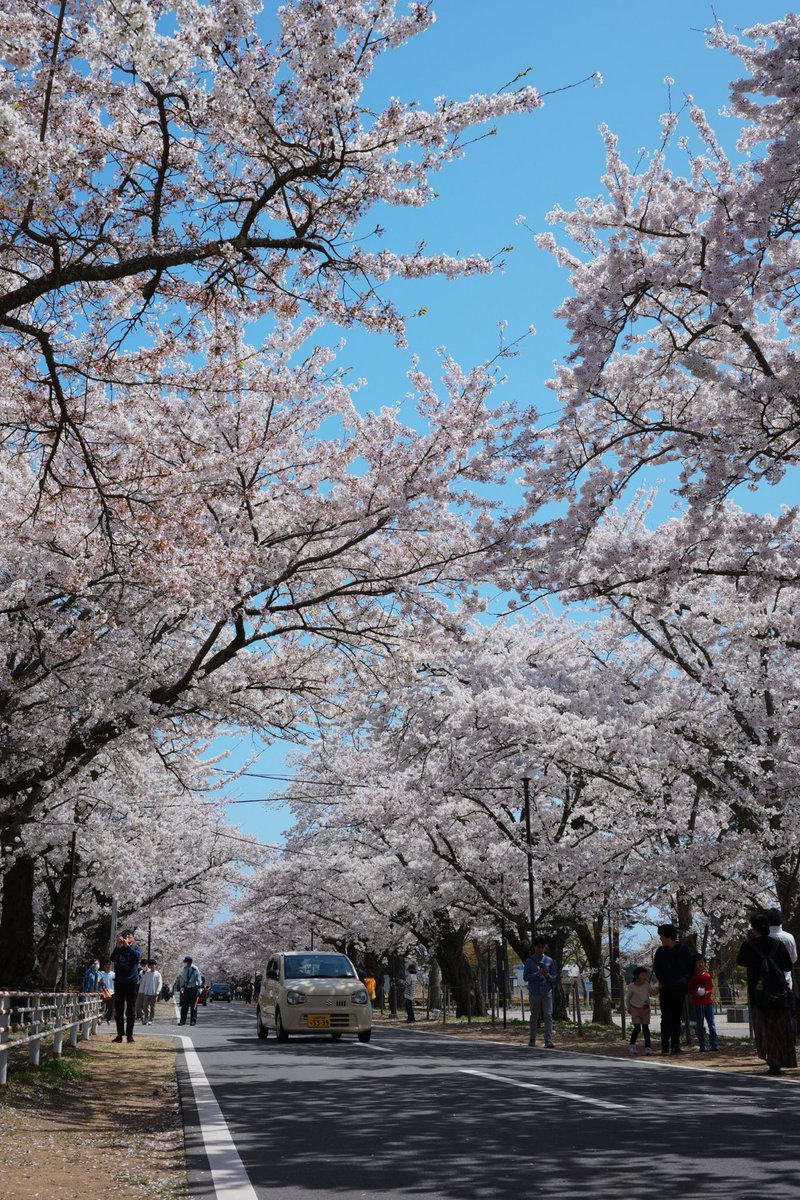 夜ノ森 #leica #leicam10 #voigtlander #colorskopar35mmf25